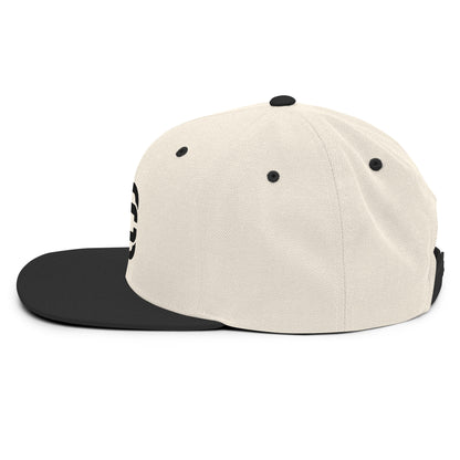 DCD Snapback Hat