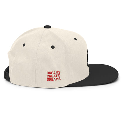 DCD Snapback Hat